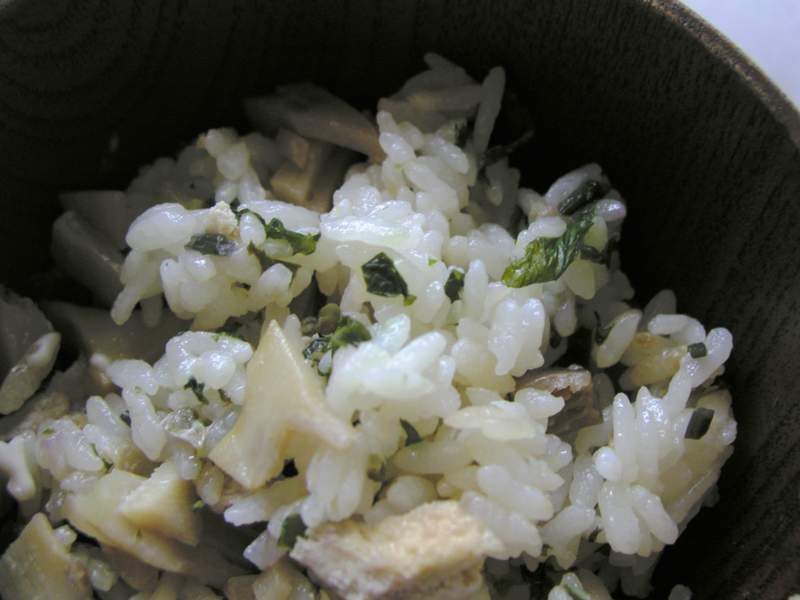 コシアブラご飯